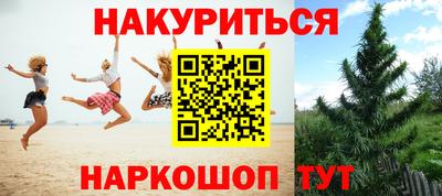 ГАЛЛЮЦИНОГЕННЫЕ ГРИБЫ Баксан