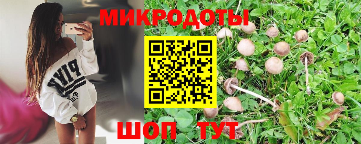 Галлюциногенные грибы прущие грибы  Вход с VPN  Избербаш 
